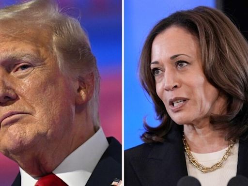 How polls rate Kamala Harris's chances against Trump