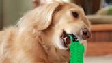 Dog Owners Say This $11 Chew Toy Is ‘Awesome’ for Pups Who ‘Shred Most of Their Toys in Minutes’