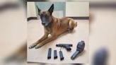 Driver arrested after Miami County Police K9 locates firearm, ammunition during traffic stop