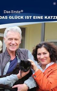 Das Glück ist eine Katze