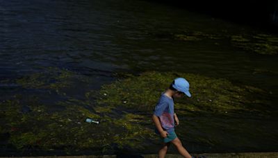 巴黎奧運》塞納河水質持續不佳 鐵人三項游泳訓練又取消 - 國際