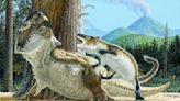 Final moments of dinosaur and mammal's epic 'mortal combat' battle preserved by volcanic eruption