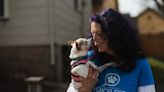 NY wants better animal cruelty laws. Why Rochester pet advocates say that's not enough