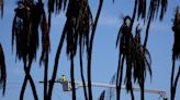 Hawaiian Electric Slumps After Issuing Going-Concern Warning