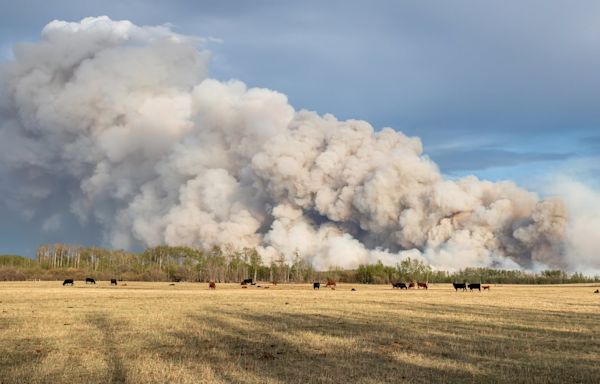 Smoke clouds northern Alberta as wildfires burn near Fort McMurray, Grande Prairie