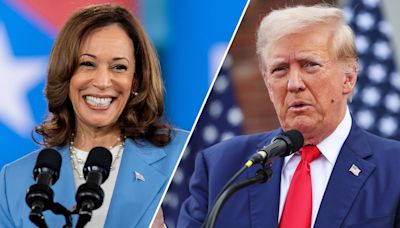 Pollster Nate Silver predicts Trump poised to win Electoral College amid 'mediocre' Harris polling