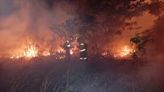 Incendio transfronterizo con Brasil no ingresó al departamento
