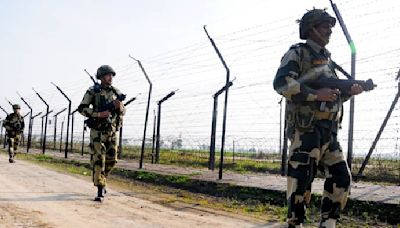 Gujarat: BSF Officer & Jawan Die Due To Extreme Heat Exposure During Border Patrol