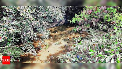 450-year-old well in Latur needs upkeep | Kolhapur News - Times of India