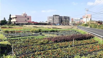 桃園草花王國產值銳減近億 農業局設法推廣 - 寶島