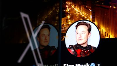 Elon Musk's X suspended “White Dudes for Harris” account after record-breaking fundraising call