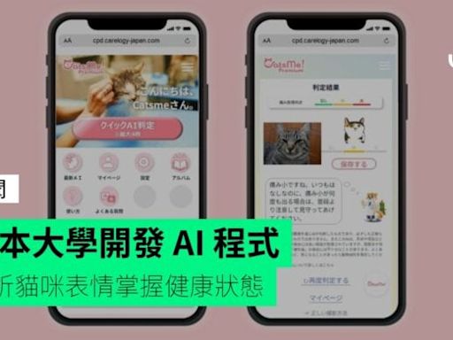 日本大學開發 AI 程式 分析貓咪表情掌握健康狀態