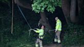 Boy, 14, dies and another critical after ‘playing on rope swing’ by River Tyne