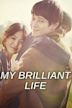 My brilliant Life