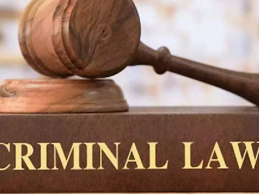 More than 43 lakh officers trained in three criminal laws, says MoS Home - The Economic Times