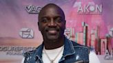 Akon Presents The First Annual Jollof, Music & Food Festival