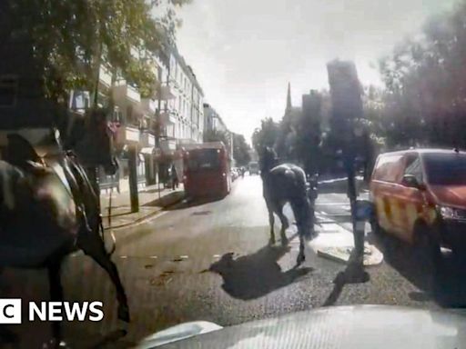 Runaway Household Cavalry horses on loose again in central London