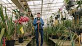 This fabled orchid breeder loves to chat — just not about Trader Joe's orchids