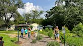 'A butterfly haven': How a pollinator garden gave empty Northbrook land new life