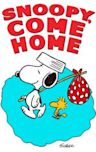 Snoopy Come Home