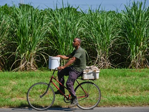 En Cuba, una cooperativa cañera se debate entre apagones y escasez de insumos