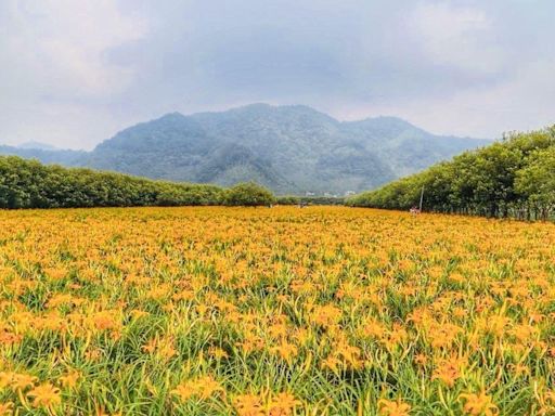 「夏遇．山裡的海」雲品溫泉酒店暑期打造全齡一站式度假天堂 | 蕃新聞