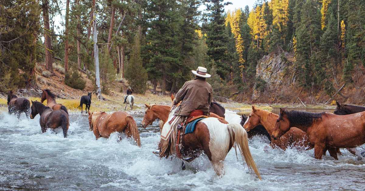 The Resort at Paws Up Is the Best Dude Ranch to Live Like a 'Yellowstone' Dutton