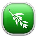 Olive (software)