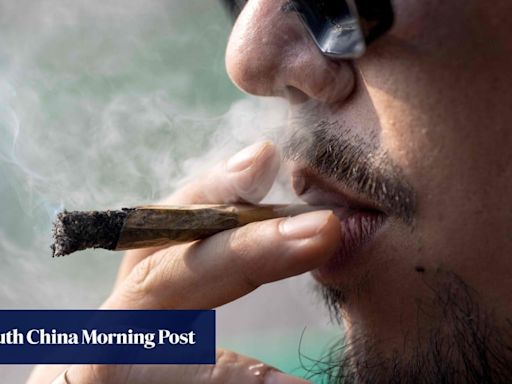 Thai cannabis groups urge rethink of plan to re-criminalise marijuana