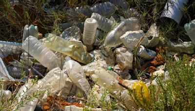 Biden administration seeks to eliminate single-use plastics in federal government by 2035