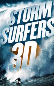 Storm Surfers