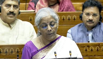 Nirmala Sitharaman Live Updates: Finance Ministry To Reply In Parliament