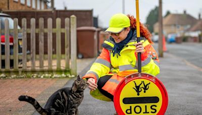 Lollipop lady who works with pet cat gears up for another school year