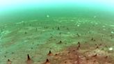 Exploring Lake Huron sinkholes may help find life on other planets