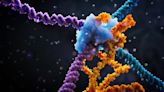 A “Word Processor” for Genes – Scientists Unveil Fundamentally New Mechanism for Biological Programming