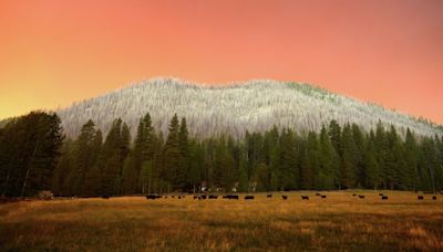 Lassen closes as Park Fire nears, rangers scramble to save history