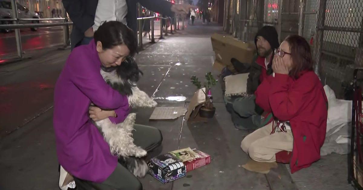 NYC family thought their dog, Panda, was stolen in Central Park and gone for good. See the surprise reunion.