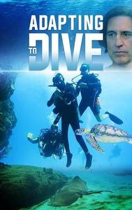 Dive