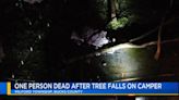 1 person dead after tree falls on RV in Milford Township campground