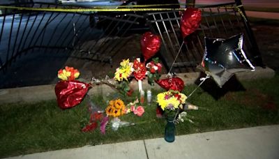 Suburban mother of 5 killed in Elk Grove Village car crash; 4 others injured