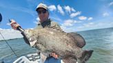 Florida fishing: Dolphin, pompano, tripletail, snook all on the catch list this weekend