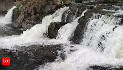 Water flow at Hogenakkal falls increases | Chennai News - Times of India