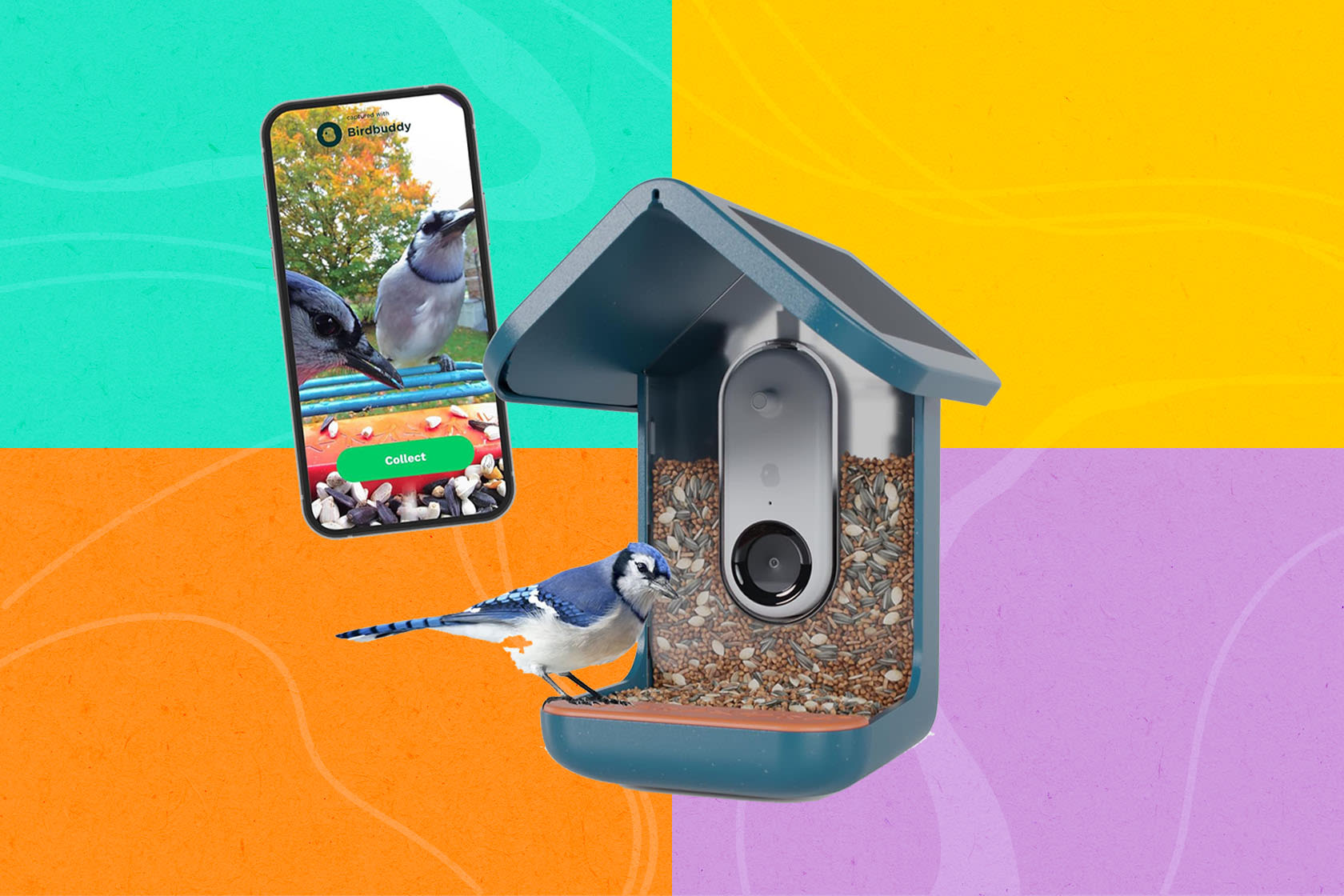 My step-dad loves the Bird Buddy smart bird feeder I got him — now it's $60 off