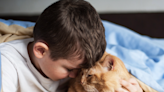 Sweet Little Boy’s Bedtime Ritual With His Cat Is Melting Hearts