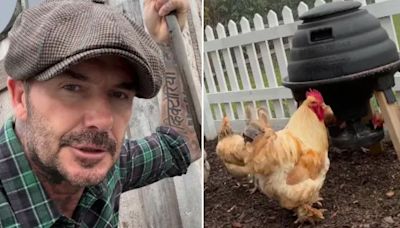 David Beckham gives fans a tour of his vegetable patch at £12million home