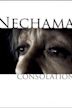 Nechama: Consolation