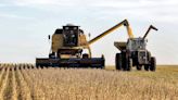 La actividad económica tuvo en mayo su primer repunte del año: creció 2,3% impulsada por el agro