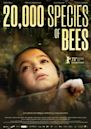 20.000 especies de abejas