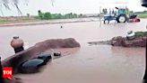 Power lines damaged by storm in Jaisalmer | Jaipur News - Times of India