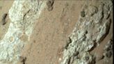 Nasa rover discovery hints at ancient microbial life on Mars
